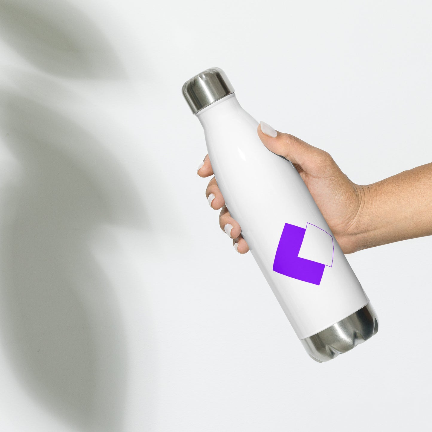 Stainless Steel Water Bottle